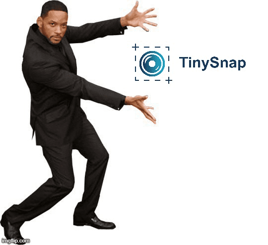 TinySnap Launch Timeline