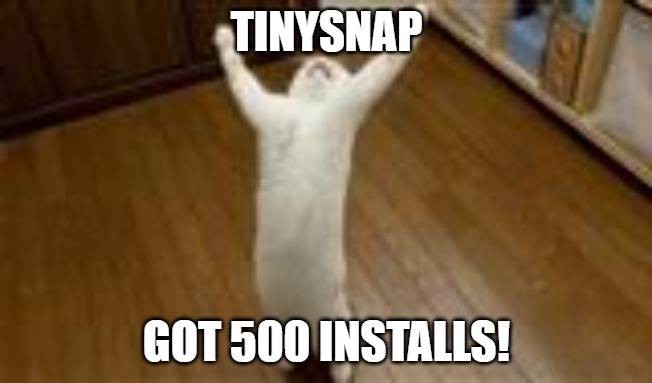 TinySnap Launch Timeline