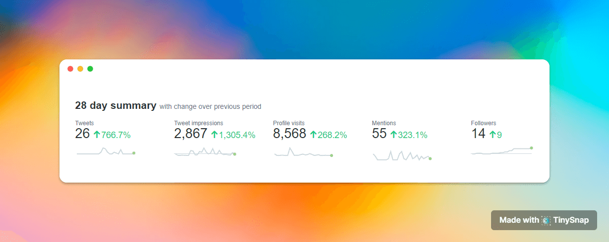 TinySnap: First Month Breakdown Report