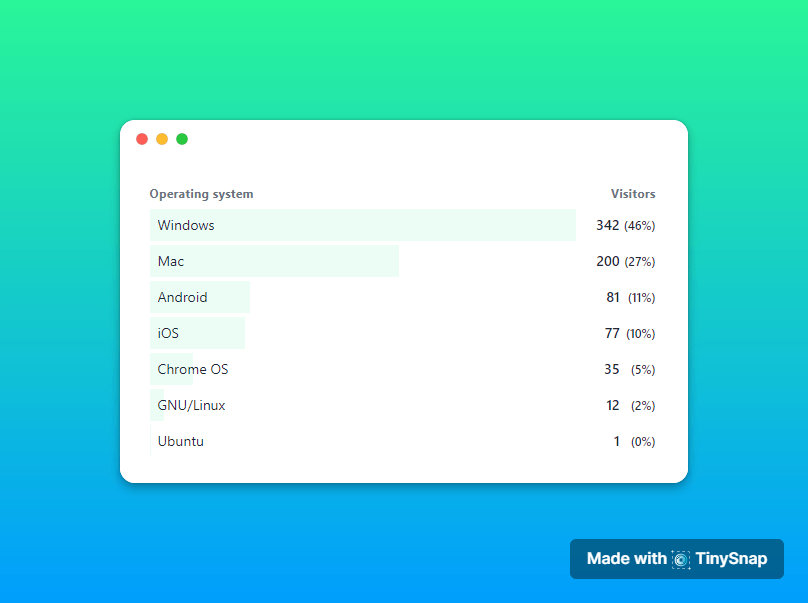 TinySnap: First Month Breakdown Report